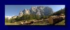 13 Prisank mit Kuehen 060909-155300